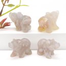 BLOSSOM 20 이미지
