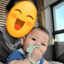 모모푸드 이미지