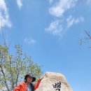 푸르고 싱그러운 오월 첫산행 상주(영동)백화산 (한성봉)(2023.5,1). 이미지