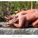 아이들전시회 이미지
