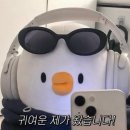 문화 예술 잡식형 인간, 사맨다