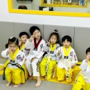 별하태권도 이미지