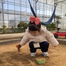 슬기농장 2 이미지