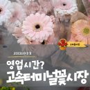 터미널시장 | 고속터미널 꽃시장 고터 다녀온 후기, 영업시간부터 꼭 사야 할 꽃까지