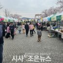 농부장터야채.과일