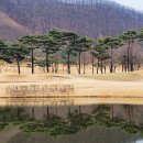 풍미진해장국 이미지