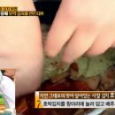 웰빙김치 만들기 이미지
