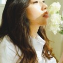 한올 이미지