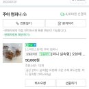 주아컴퍼니 이미지