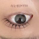 모이므므송도눈썹속눈썹펌