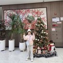 신신호텔제주시티 이미지