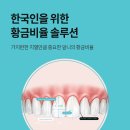 가야미과 이미지