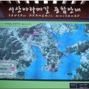 젊은느티나무