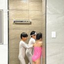 더레지아B 이미지