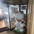 2190 | 📍신곡동 회전초밥 맛집 “스시히로미” 솔직 후기 (전 접시 2,190원)