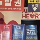 원암유치원 | 속초 다이나믹메이즈 영업시간 가격 정리 / 아이랑 방탈출 체험 솔직 후기