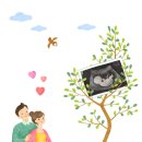 다솜연세가정의학과의원 이미지