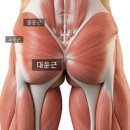 어댑트 짐 이미지