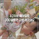 42주차 육아일지 벌써 300일, 지금처럼만 건강하고 행복하게 자라자