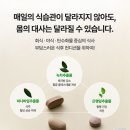 메타플러스