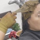 송파 천연염색방 퀸즈헤나로 건성두피관리 방법으로 추천드려요~