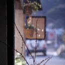 행복한 찻집 Daum카페