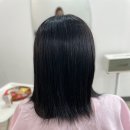 붙임머리따음 이미지