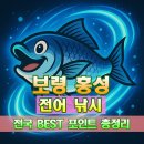 원산도 초전항 공중화장실 | 충남 보령 홍성 전어 찌 루어 원투 서프 낚시 잘잡히는 포인트 추천