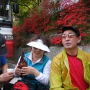 어여가세 이미지