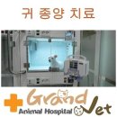 그랜드벳동물병원 이미지