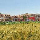 재령농장 이미지