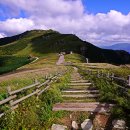 지산리구판장