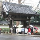 [Photo]KAMAKURA RAI TEI 鎌倉擂亭 cosumosu님 이미지