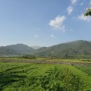 이팝농장 이미지