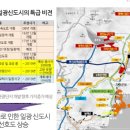 대성초장