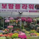 보람농원 이미지