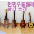 펀펀우쿨렐레