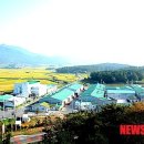 향촌공인중개사사무소 이미지