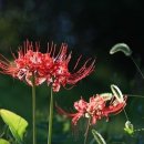 웃는시간 이미지