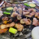 만나명품돼지