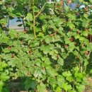 윤찬농장 이미지