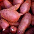 못골농장 이미지