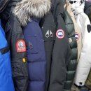 드라이 119 세탁소 이미지