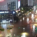 연산교차로(안락교차로 방면) 이미지