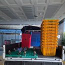 세븐일레븐 부산양정원룸점 | 부산 원룸이사 양정 → 개금 보관이사 폐기물 처리까지 깔끔한 후기 이사pik ✨