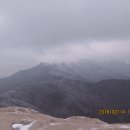 개굴개굴 이미지