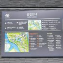 오천그린광장 | 광주근교 순천만 국가정원 + 오천그린광장 잔망루피