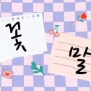장미메디칼