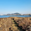 별도연대 이미지