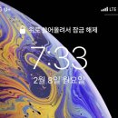 하룽이의 오전 PT 운동후기